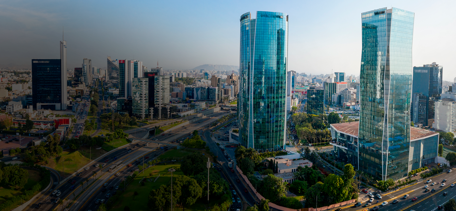 Proyecto Tulipanes en Lince, vista general